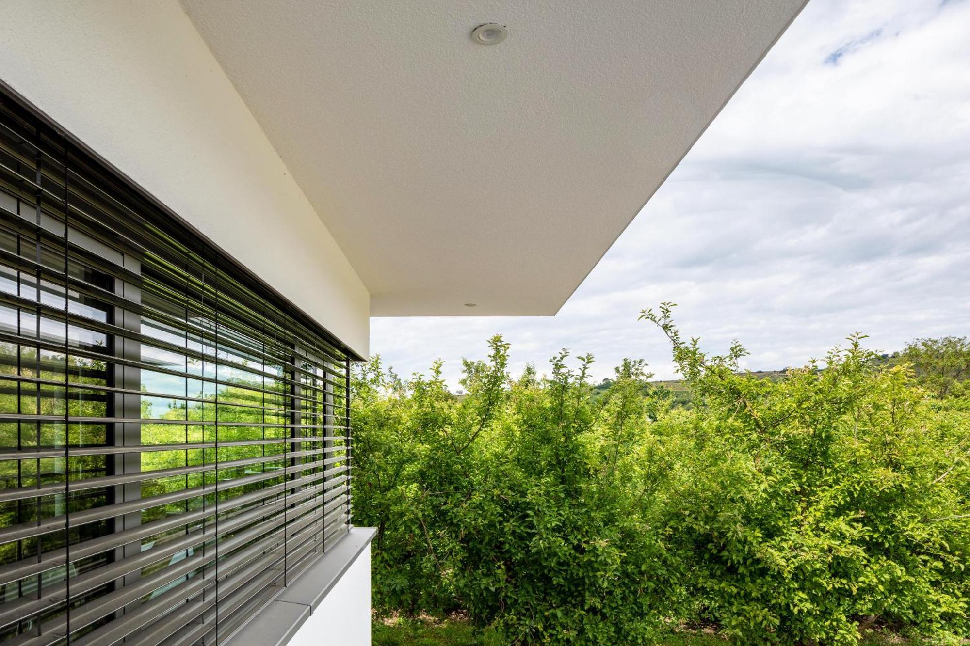 Ferienwohnung Im Obstgarten อีริงเงน ภายนอก รูปภาพ